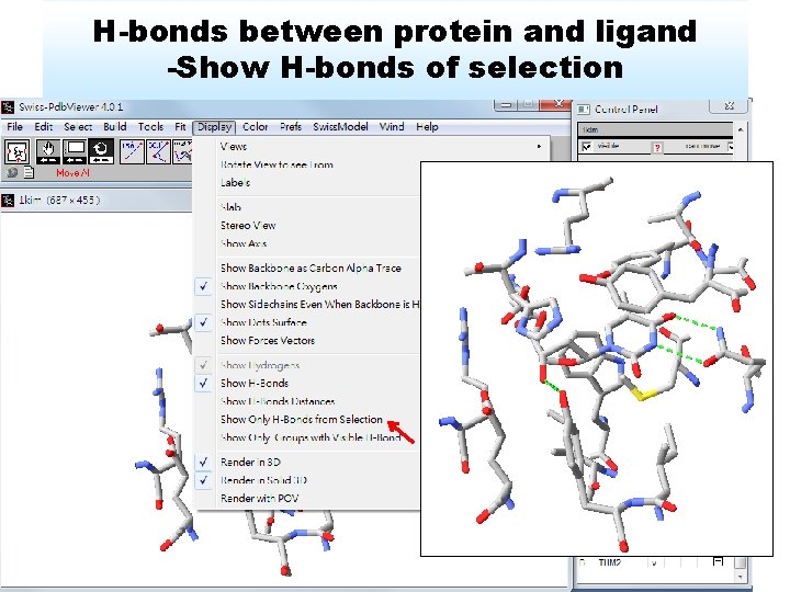 H-bonds between protein and ligand -Show H-bonds of selection 