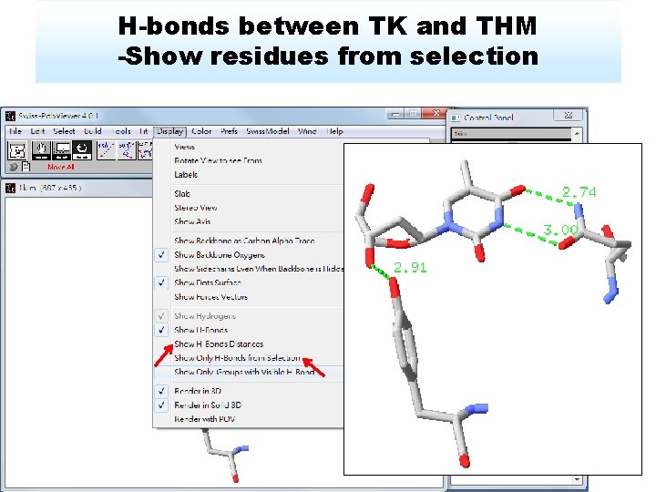 H-bonds between TK and THM -Show residues from selection 