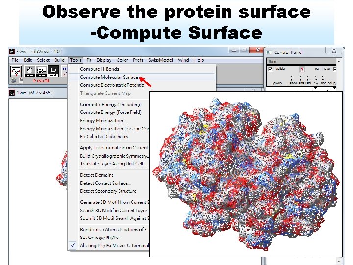 Observe the protein surface -Compute Surface 