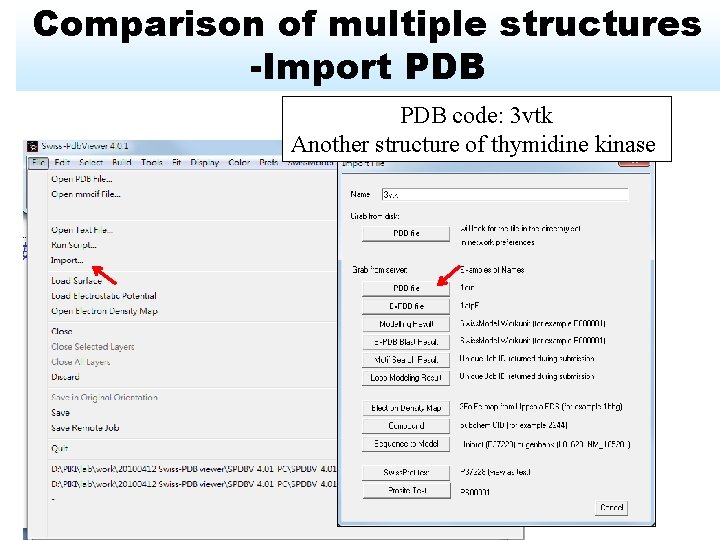 Comparison of multiple structures -Import PDB code: 3 vtk Another structure of thymidine kinase