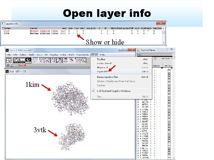 Open layer info Show or hide 1 kim 3 vtk 