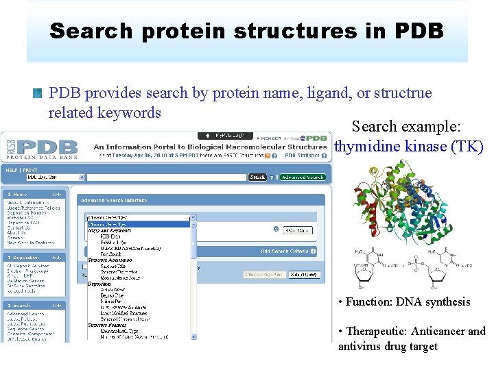 Search protein structures in PDB provides search by protein name, ligand, or structrue related