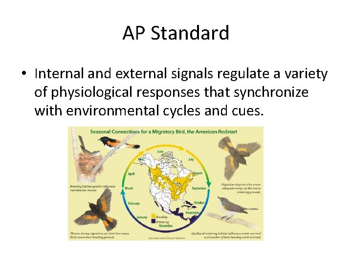 AP Standard • Internal and external signals regulate a variety of physiological responses that