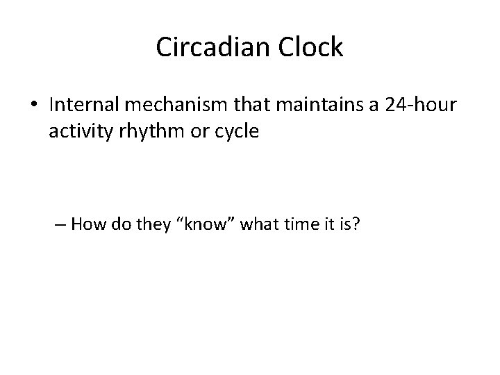 Circadian Clock • Internal mechanism that maintains a 24 -hour activity rhythm or cycle