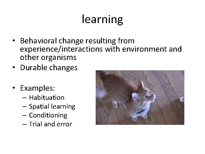 learning • Behavioral change resulting from experience/interactions with environment and other organisms • Durable