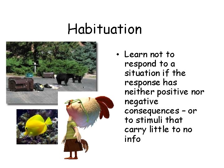 Habituation • Learn not to respond to a situation if the response has neither