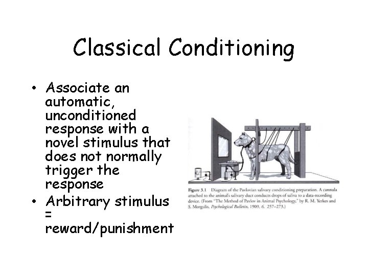 Classical Conditioning • Associate an automatic, unconditioned response with a novel stimulus that does