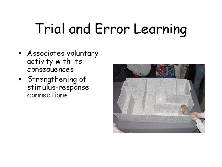 Trial and Error Learning • Associates voluntary activity with its consequences • Strengthening of