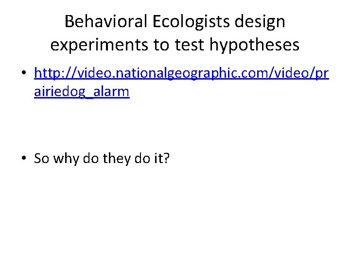 Behavioral Ecologists design experiments to test hypotheses • http: //video. nationalgeographic. com/video/pr airiedog_alarm •