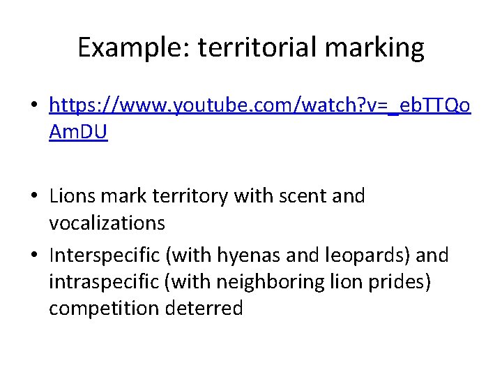 Example: territorial marking • https: //www. youtube. com/watch? v=_eb. TTQo Am. DU • Lions