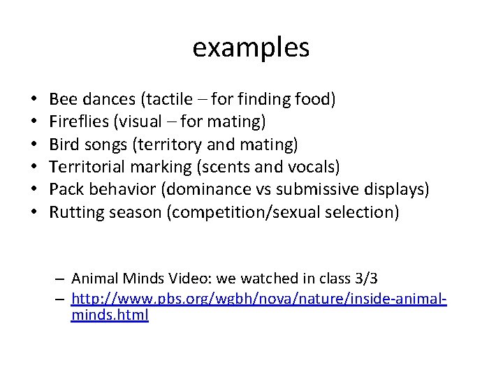 examples • • • Bee dances (tactile – for finding food) Fireflies (visual –