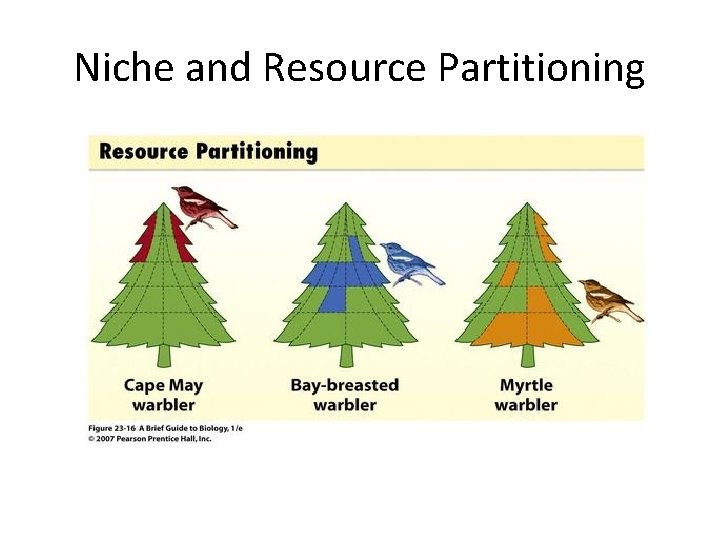 Niche and Resource Partitioning 