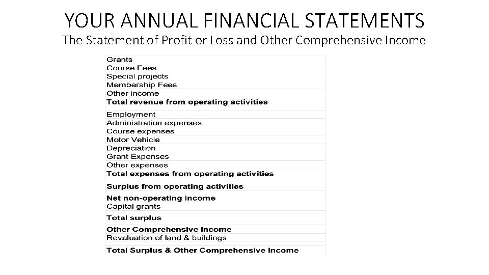 YOUR ANNUAL FINANCIAL STATEMENTS The Statement of Profit or Loss and Other Comprehensive Income