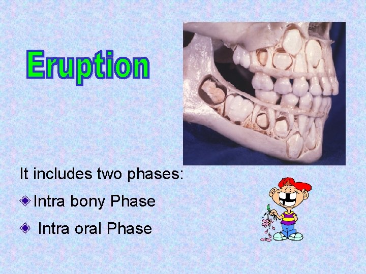 It includes two phases: Intra bony Phase Intra oral Phase 