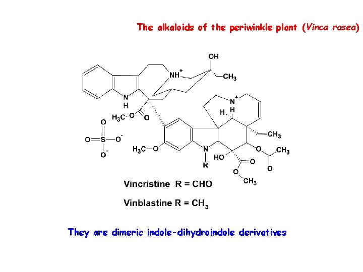 The alkaloids of the periwinkle plant (Vinca rosea) They are dimeric indole-dihydroindole derivatives 