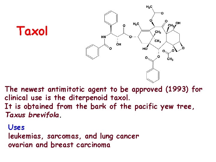 Taxol The newest antimitotic agent to be approved (1993) for clinical use is the