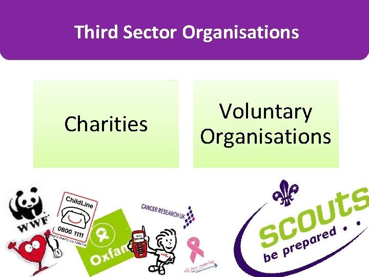 Third Sector Organisations Charities Voluntary Organisations 