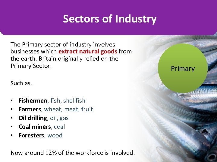 Sectors of Industry The Primary sector of industry involves businesses which extract natural goods