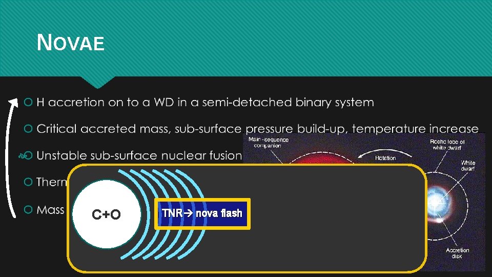 NOVAE C+O TNR nova flash 