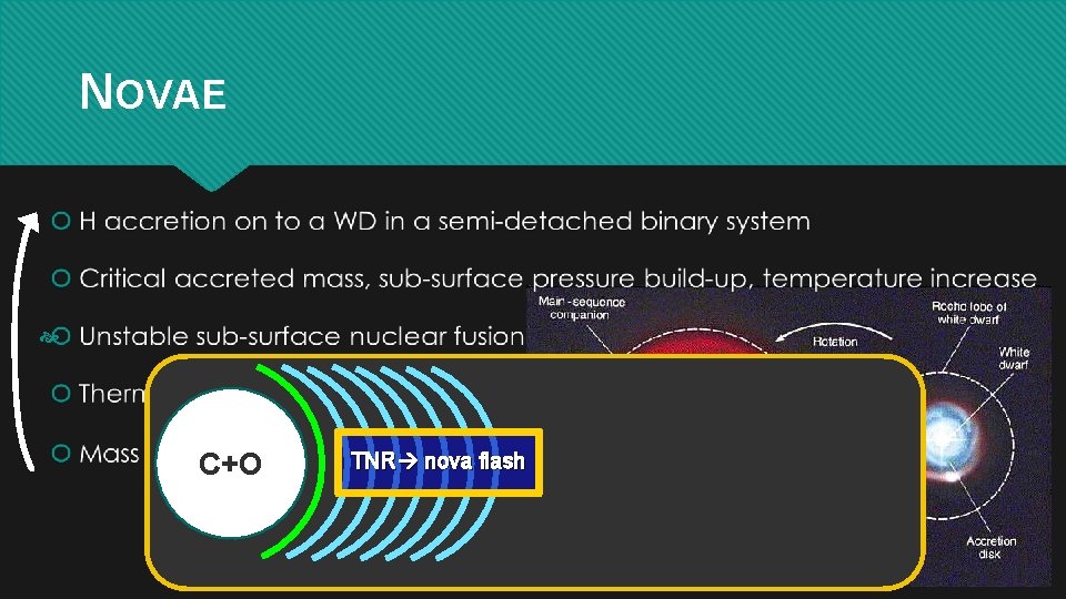 NOVAE C+O TNR nova flash 