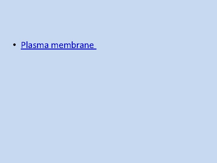  • Plasma membrane 