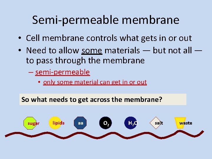 Semi-permeable membrane • Cell membrane controls what gets in or out • Need to