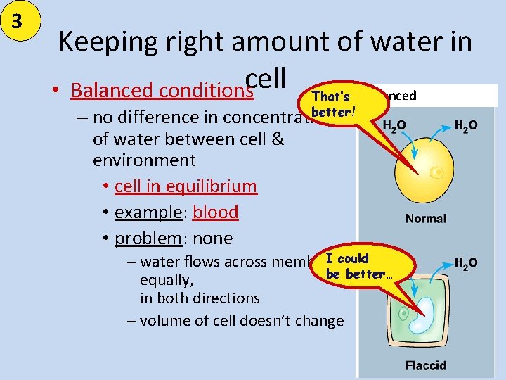 3 Keeping right amount of water in • Balanced conditionscell That’s balanced better! –