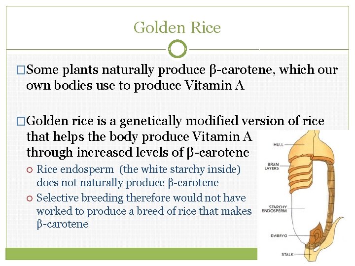 Golden Rice �Some plants naturally produce β-carotene, which our own bodies use to produce