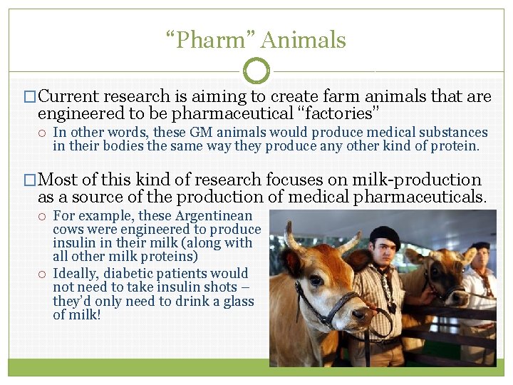“Pharm” Animals �Current research is aiming to create farm animals that are engineered to