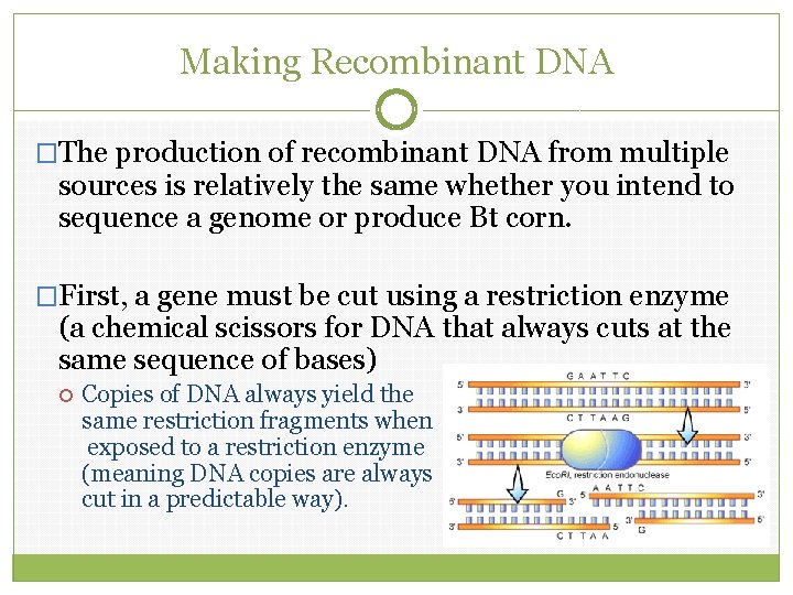 Making Recombinant DNA �The production of recombinant DNA from multiple sources is relatively the