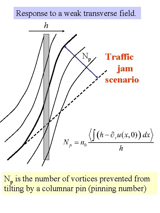 Response to a weak transverse field. h Np Traffic jam scenario Np is the