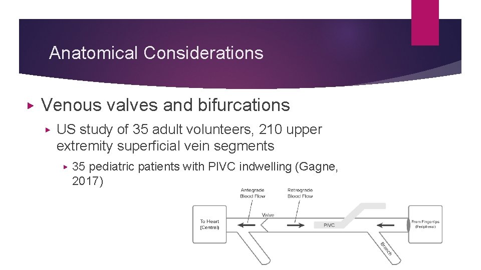 Anatomical Considerations ▶ Venous valves and bifurcations ▶ US study of 35 adult volunteers,