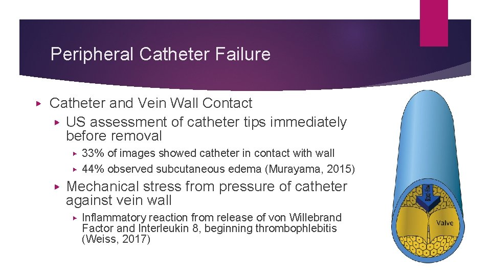 Peripheral Catheter Failure ▶ Catheter and Vein Wall Contact ▶ US assessment of catheter