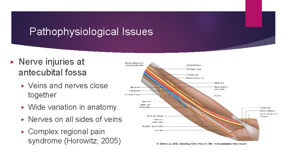 Pathophysiological Issues ▶ Nerve injuries at antecubital fossa ▶ Veins and nerves close together