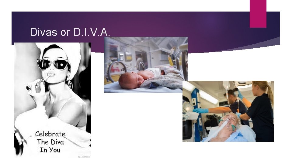 Divas or D. I. V. A. 