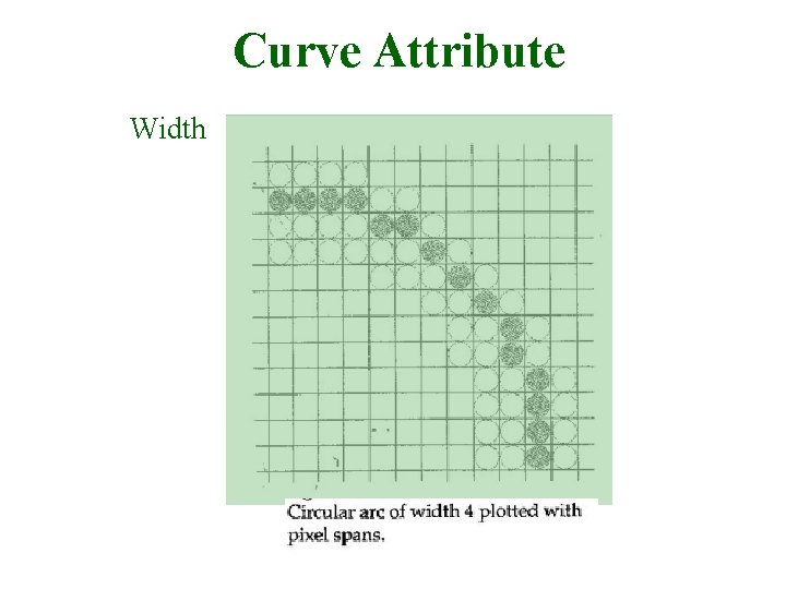 Curve Attribute Width 30/9/2008 Lecture 2 12 
