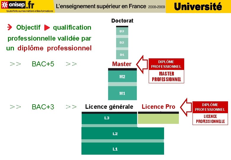 Doctorat Objectif qualification professionnelle validée par un diplôme professionnel BAC+5 Master DIPLÔME PROFESSIONNEL MASTER