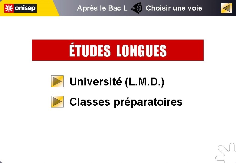 Après le Bac L Choisir une voie ÉTUDES LONGUES Université (L. M. D. )