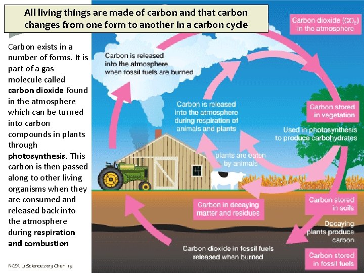 All living things are made of carbon and that carbon changes from one form