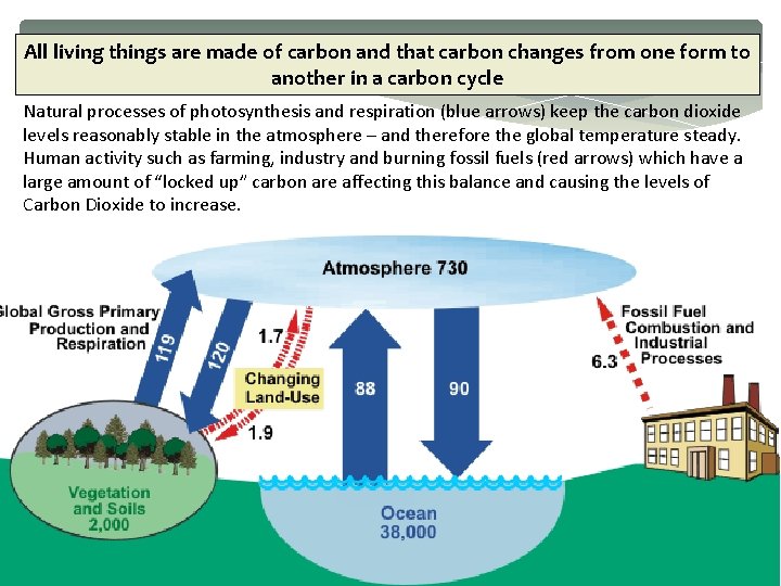 All living things are made of carbon and that carbon changes from one form