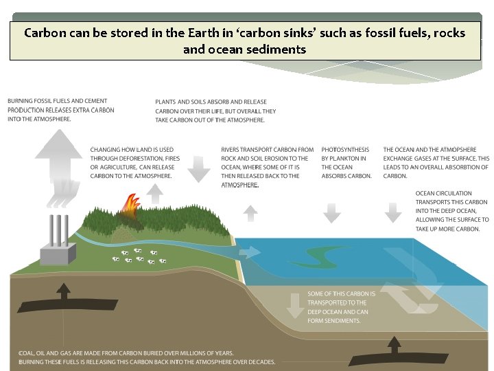 Carbon can be stored in the Earth in ‘carbon sinks’ such as fossil fuels,