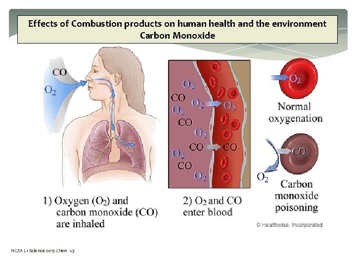 Effects of Combustion products on human health and the environment Carbon Monoxide NCEA L