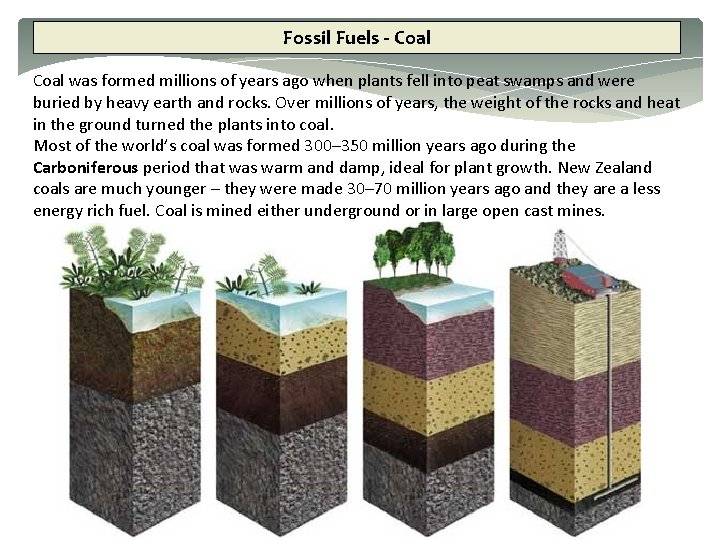Fossil Fuels - Coal was formed millions of years ago when plants fell into