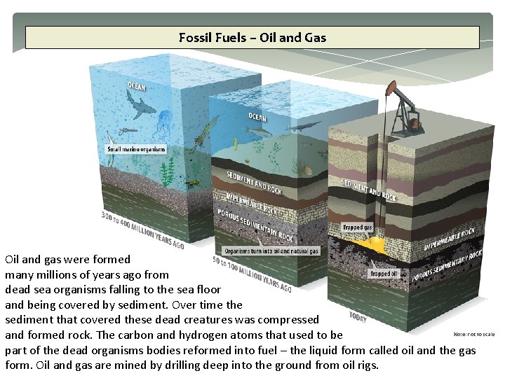 Fossil Fuels – Oil and Gas Oil and gas were formed many millions of
