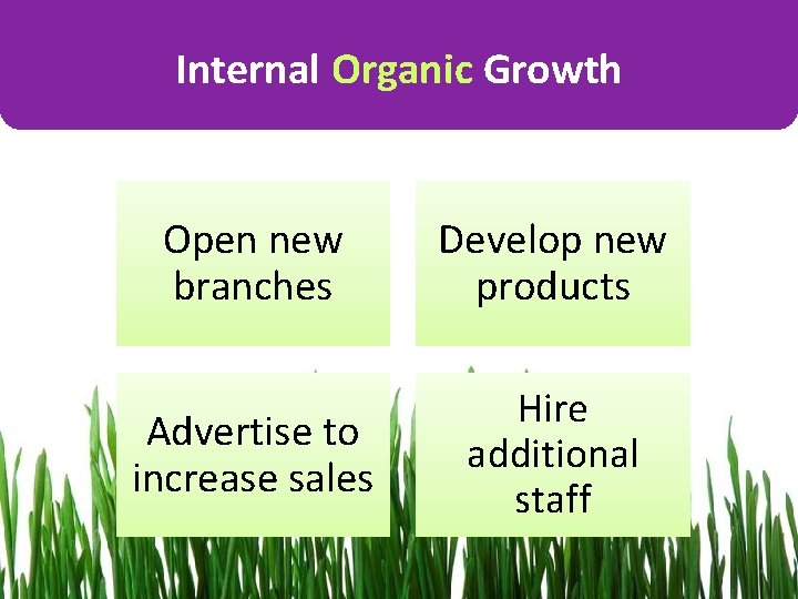 Internal Organic Growth Open new branches Develop new products Advertise to increase sales Hire