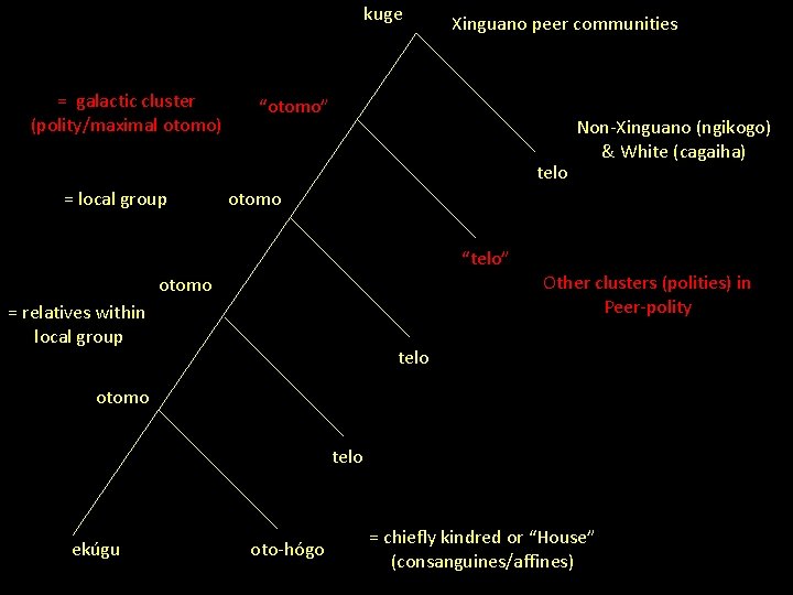 kuge = galactic cluster (polity/maximal otomo) Xinguano peer communities “otomo” telo = local group