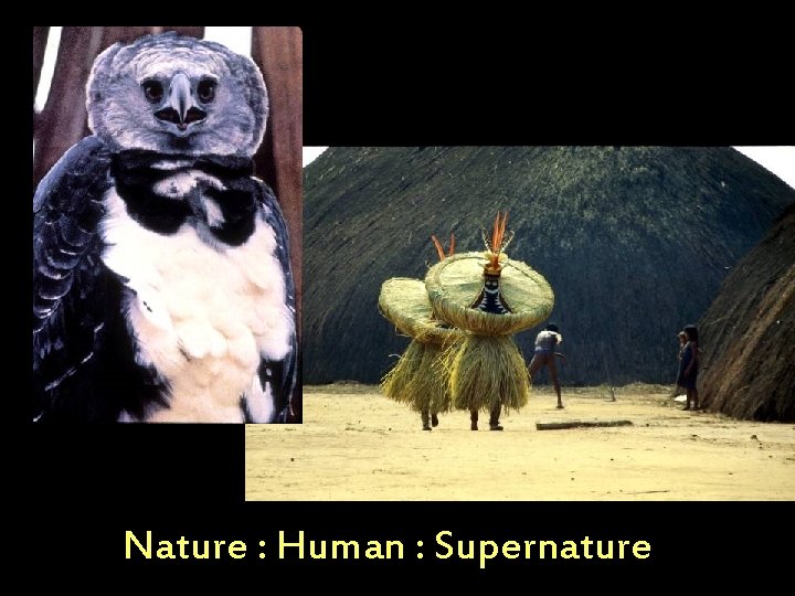 Nature : Human : Supernature 