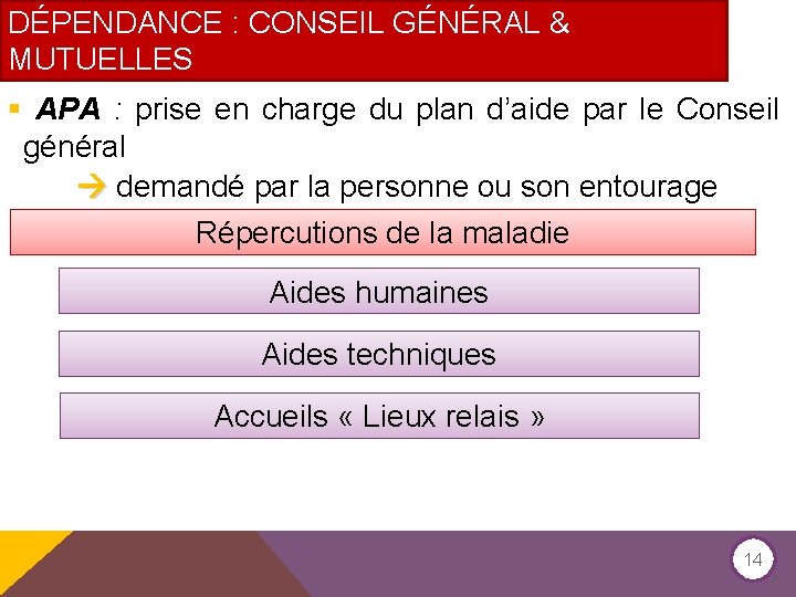 DÉPENDANCE : CONSEIL GÉNÉRAL & MUTUELLES § APA : prise en charge du plan