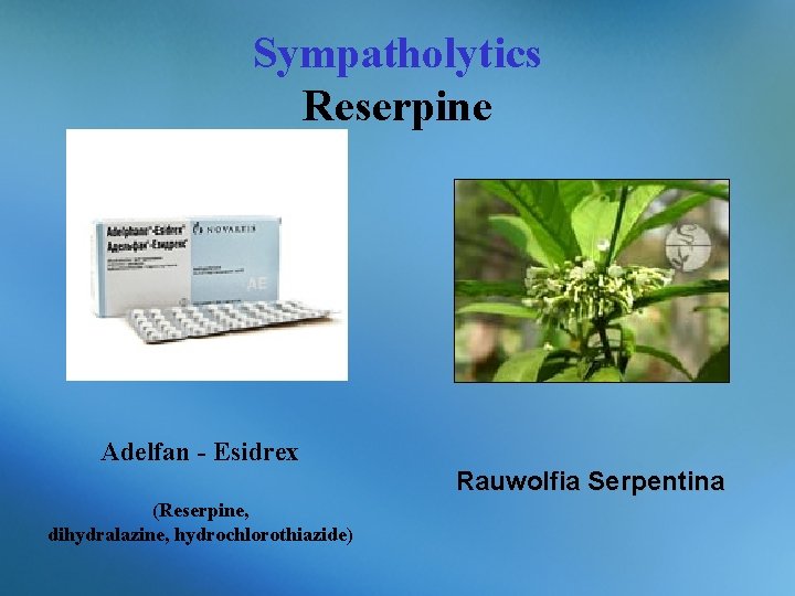 Sympatholytics Reserpine Adelfan - Еsidrex Rauwolfia Serpentina (Reserpine, dihydralazine, hydrochlorothiazide) 