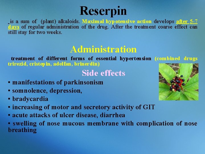 Reserpin is a sum of (plant) alkaloids. Maximal hypotensive action develops after 5 -7
